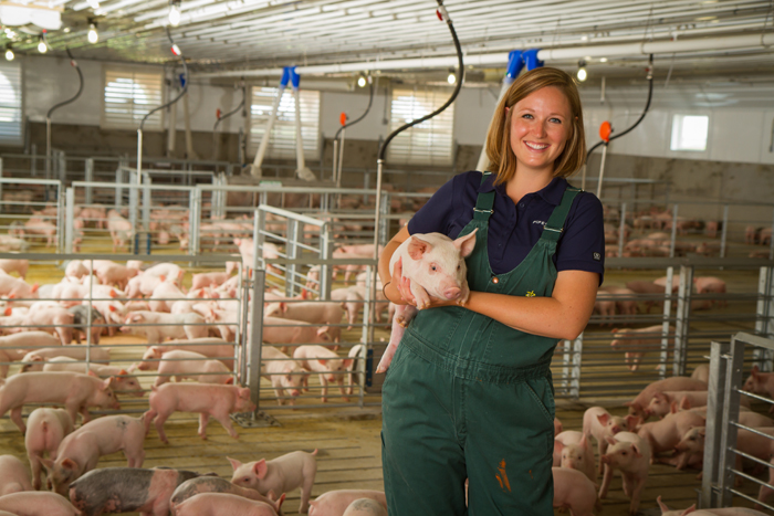 Click for Swine Health Information