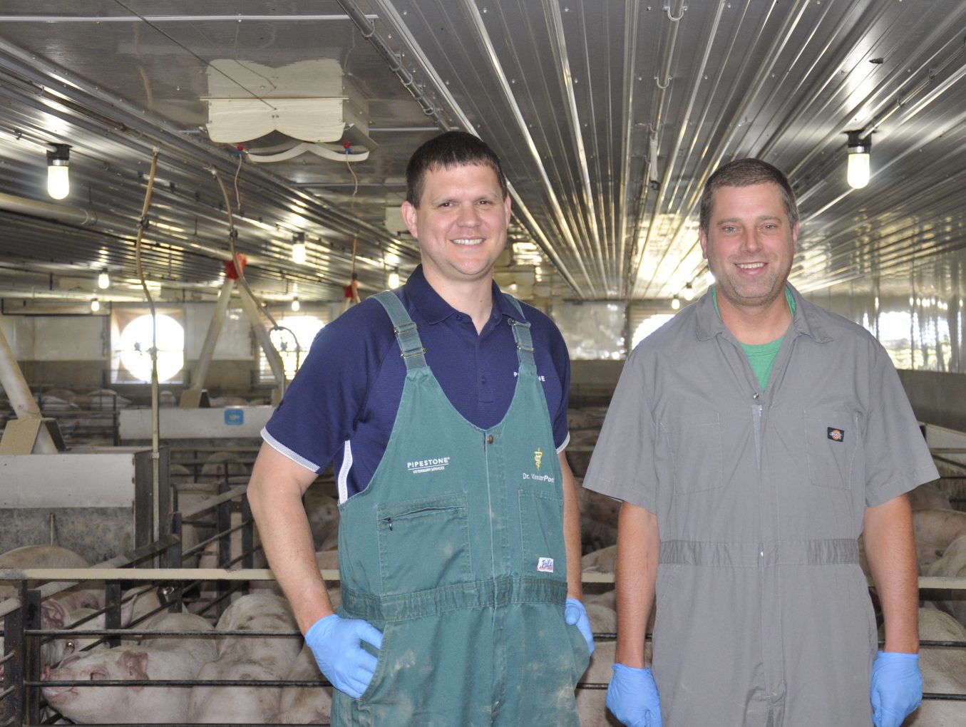 Weinkauf Farms | Prioritizing Pig Care