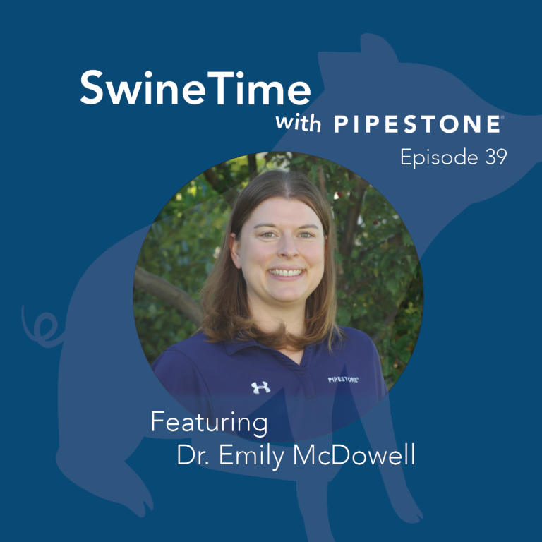 SwineTime Podcast Episode 39: Can We Eliminate Mycoplasma?