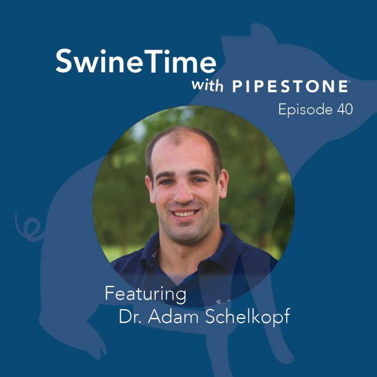 SwineTime Podcast Episode 40: Factors of a Sow Herd Health Upgrade
