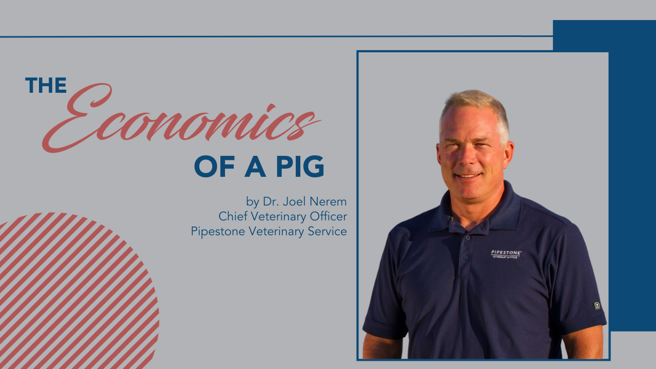 CVO Comments: The Economics of a Pig