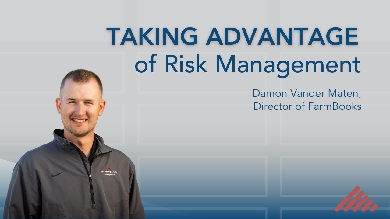 Taking Advantage of Risk Management