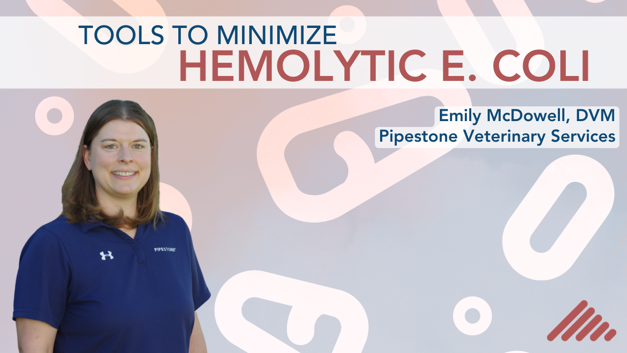 Tools to Minimize Hemolytic E. coli