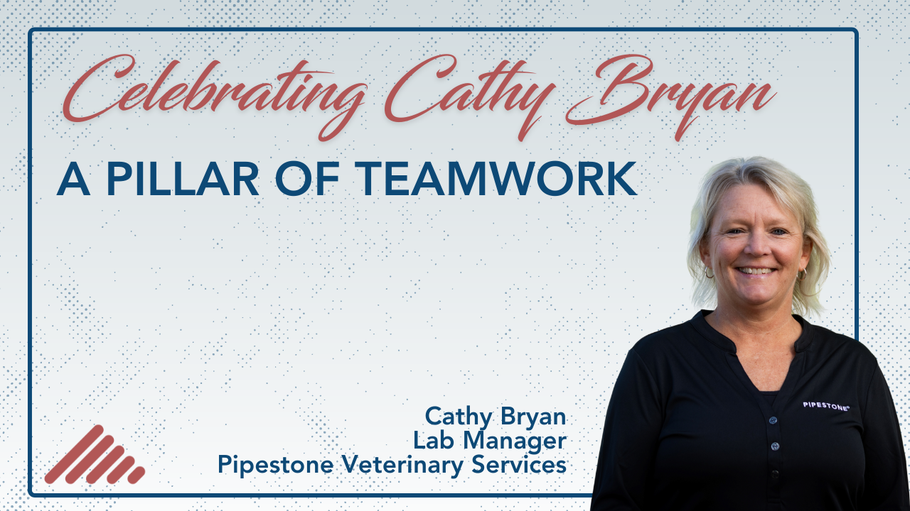 Celebrating Cathy Bryan: A Pillar of Teamwork