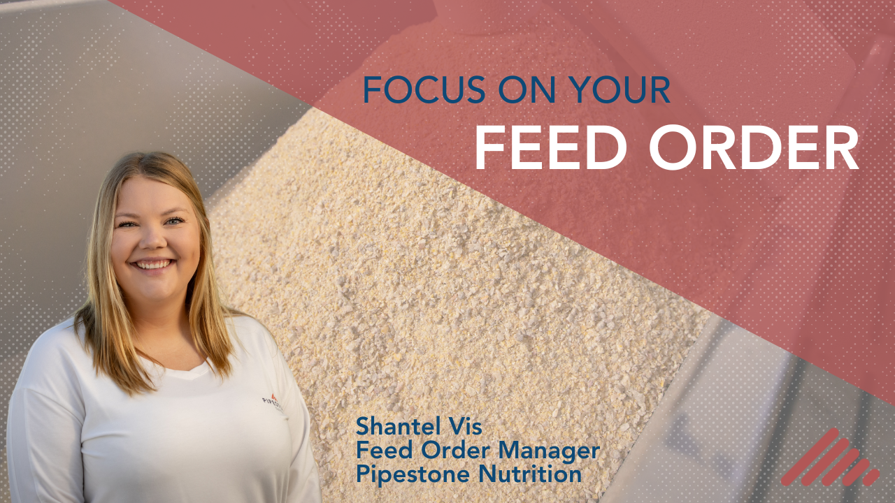 Focus on your Feed Order