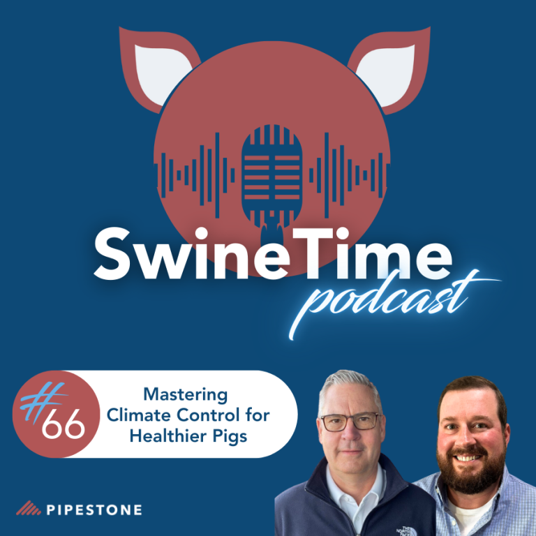 Episode #66: Mastering Climate Control for Healthier Pigs