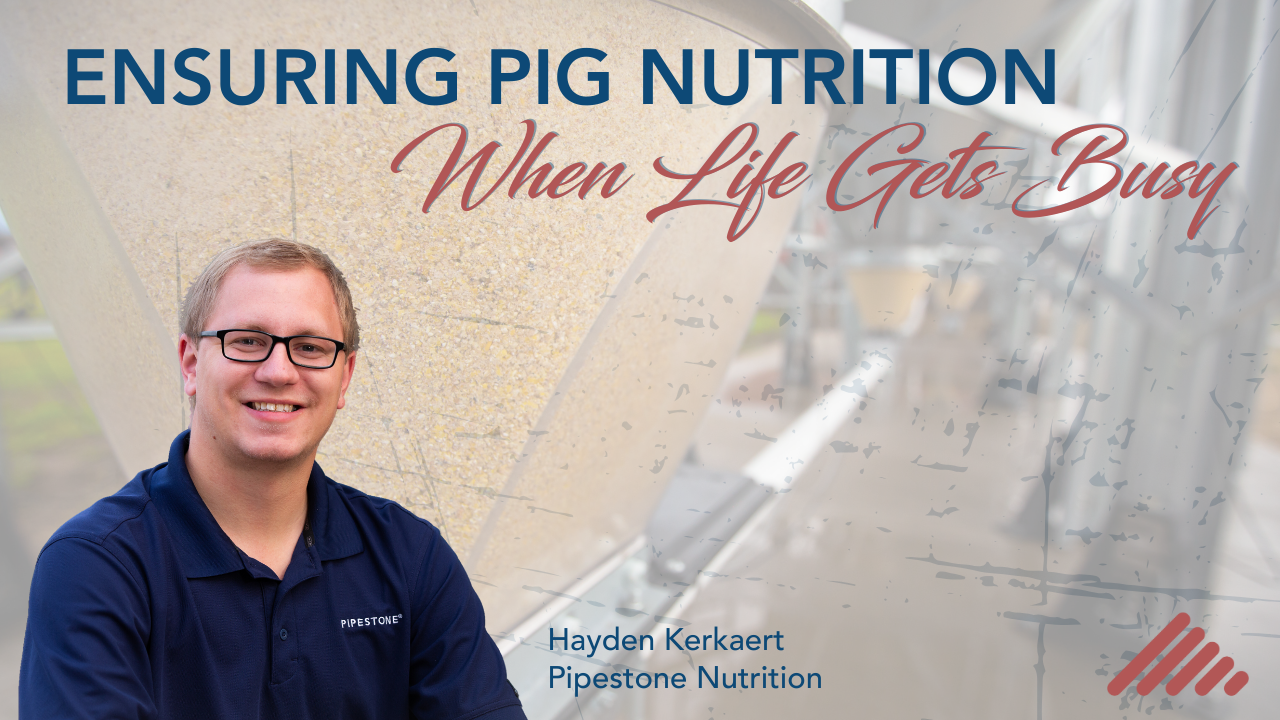 Ensuring Pig Nutrition When Life Gets Busy